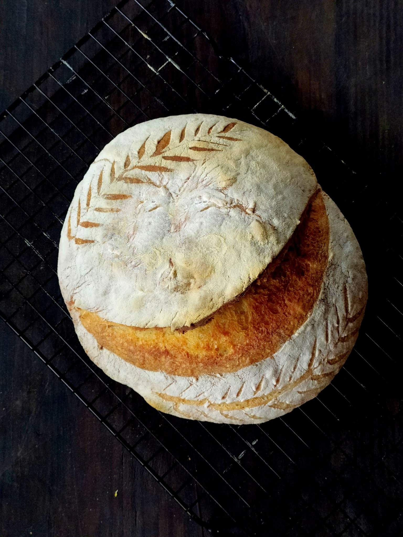 Sourdough Discard Whole Wheat Crackers Ambrosia