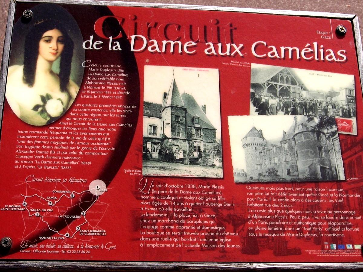 Maxted Travels with Modestine 5: La Dame aux Camelias