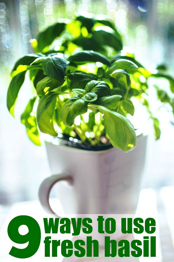 How To Use Fresh Herbs COZY LITTLE HOUSE