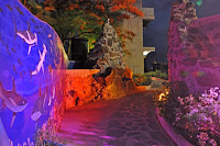 Night time view of the flora and scenery of the Galapagos Eco Lodge in San Cristobal, Galapagos Islands