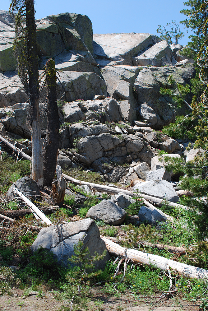 Trails Trekker Lake Angela by way of the Pacific Crest Trail