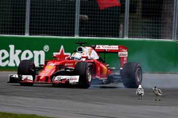 https://1.bp.blogspot.com/-8lrcEGRYYgg/XRXdmbasMqI/AAAAAAAAErU/lQuJ907qRrgjbFacRQdAYZ_8Rp3-UelvwCLcBGAs/s1600/Pic_Formula-One3-_0252.jpg https://1.bp.blogspot.com/-8lrcEGRYYgg/XRXdmbasMqI/AAAAAAAAErU/lQuJ907qRrgjbFacRQdAYZ_8Rp3-UelvwCLcBGAs/s1600/Pic_Formula-One3-_0252.jpg