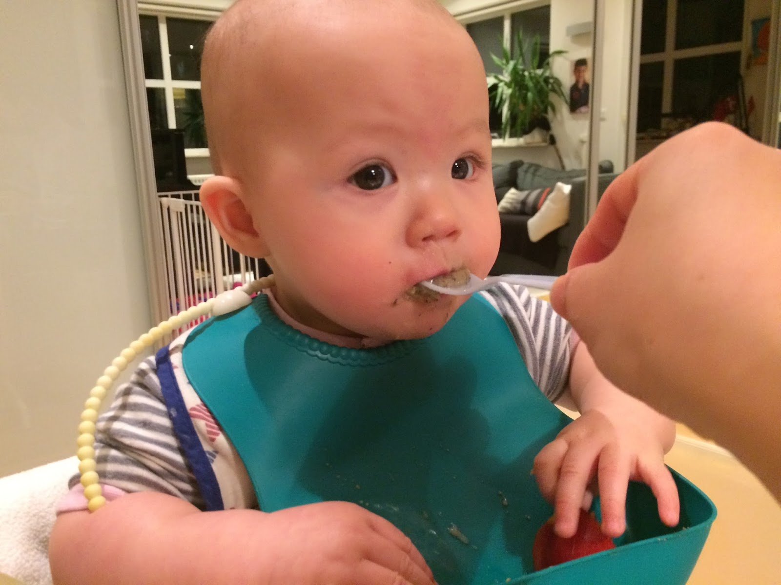 Family FECS Baby Food of the Day Black Beans for the First Time (7M5D)