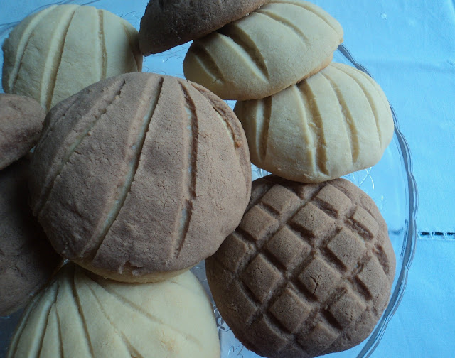 conchas mexicanas