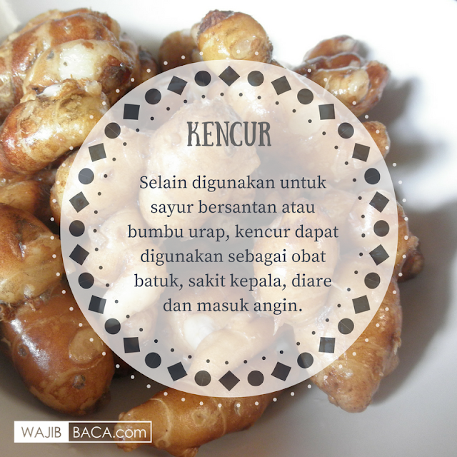 Keajaiban di Dapur Sendiri! Ini Dia Bumbu Dapur yang Berkhasiat Sebagai Obat Keajaiban di Dapur Sendiri! Ini Dia Bumbu Dapur yang Berkhasiat Sebagai Obat