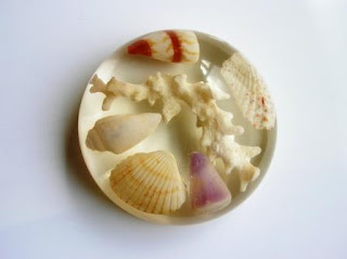 A variety of Seashells preserved within a paperweight