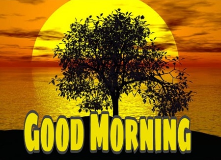Good Morning Good Morning