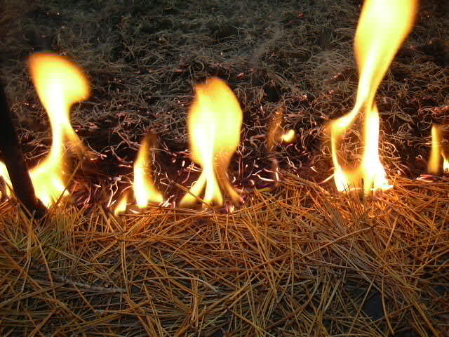 FuegoLab: Oxígeno, calor, vegetación y...fuego: de Vulcano a Prometeo