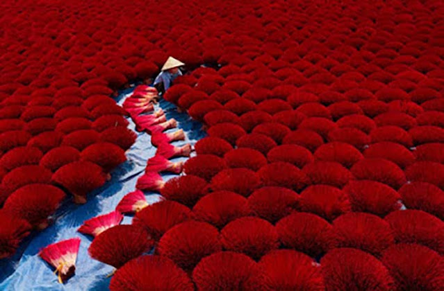 اشيك صور زهور حمراء من اليابان