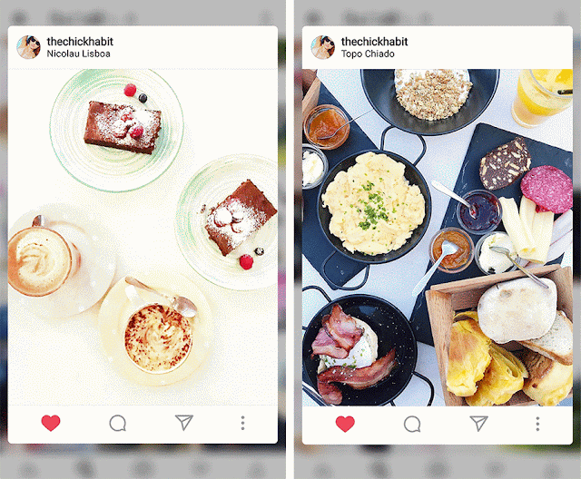 The Chick Habit Instagram