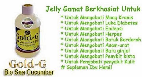 Obat Herbal Jelly Gamat Gold G