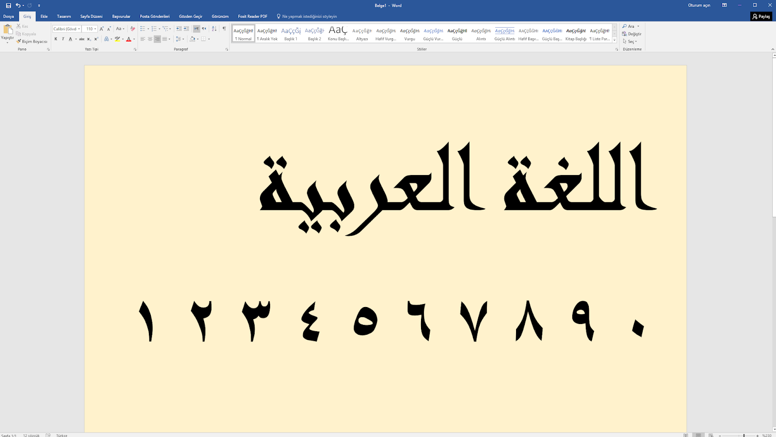 microsoft office word pro 2016 arapca