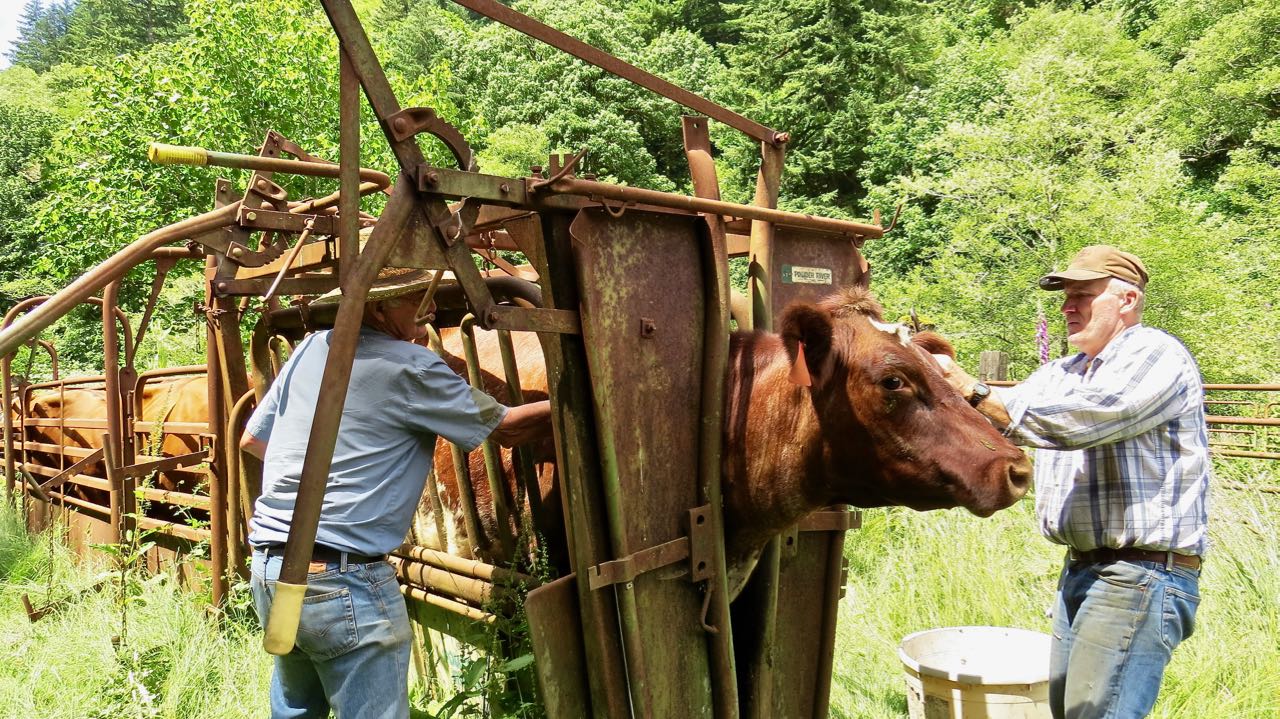 LuAnn Kessi Spinning Plates...