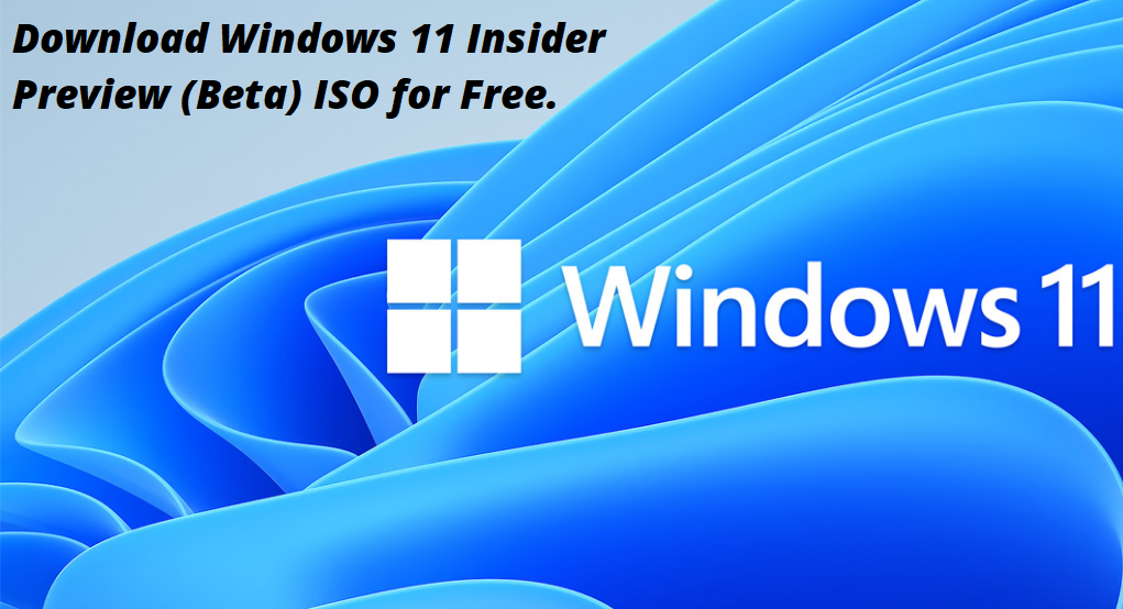 download windows 11 preview iso