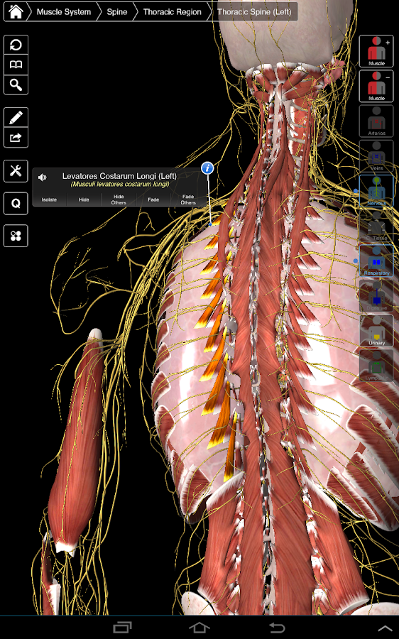 Essential Anatomy 3 v1.1.2 APK apkmania