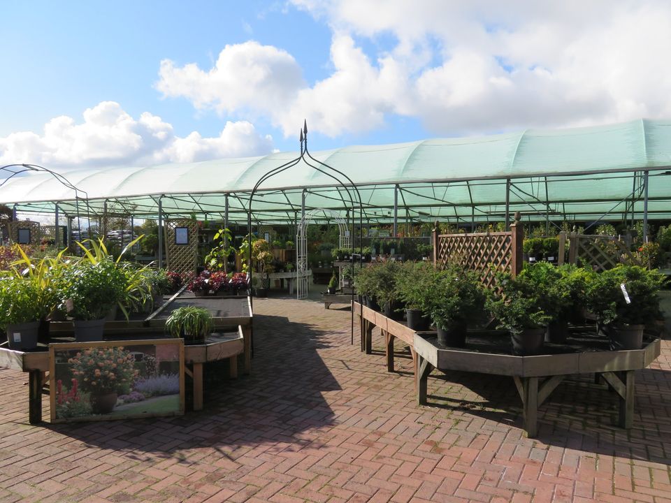 Martin Brookes Oakham Rutland Garden Centre Rutland Village Ashwell