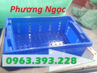 Sóng nhựa HS002, sọt nhựa đựng cá, sóng cá, sọt nhựa rỗng đựng hải sản,  Product-10339-69756