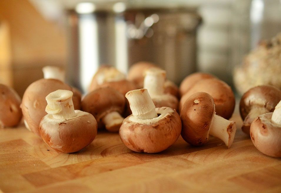 14 Reasons why more People will love Mushrooms 14 Reasons why more People will love Mushrooms