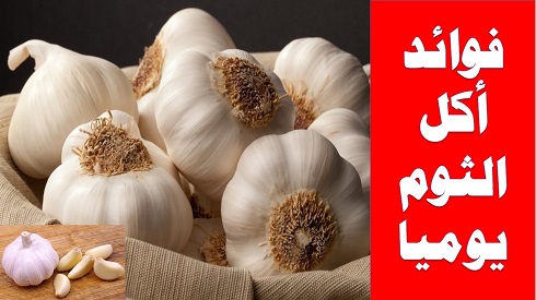 تعرف على 7 أسباب مذهلة تجعلك تأكل الثوم كل يوم تعرف على 7 أسباب مذهلة تجعلك تأكل الثوم كل يوم,تعرف على7 أسباب مذهلة تجعلك تأكل الثوم كل يوم,Learn 7 amazing reasons to eat garlic every day,فوائد بلع الثوم على الريق وكذلك فوائد الثوم على الريق للتخسيس ثم كيفية تناول الثوم على الريق واضرار الثوم على القلب وكم فص ثوم يؤكل في اليوم وهل الثوم على الريق ينحف؟ وطريقة اكل الثوم بدون رائحة