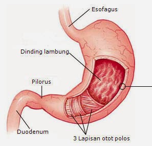 askep sindrom dispepsia