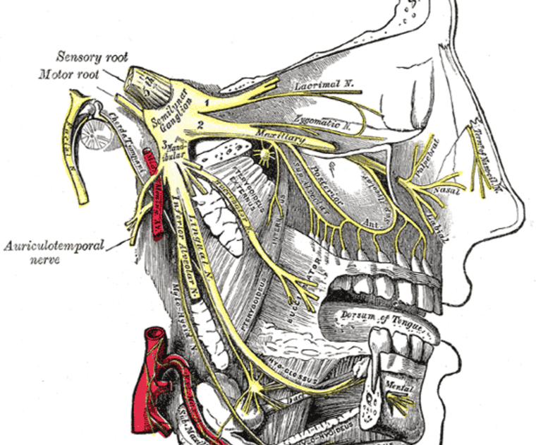 нейроваскулярный конфликт. нейроваскулярный конфликт тройничного нерва мрт. невралгия тройничного нерва (5 пара черепно-мозговых нервов). нейроваскулярный конфликт тройничного. операция на тройничный нерв.