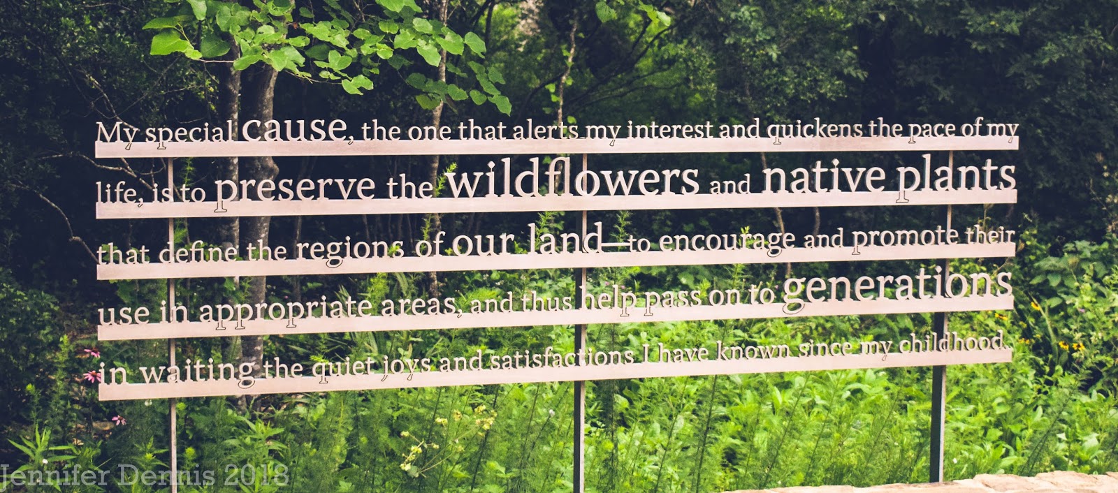 Temps De Jardin Amour Ou Haine Les Montbretias