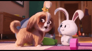 giphy%2B%25283%2529.gif