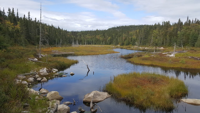 Vue à partir du sentier du Fjord
