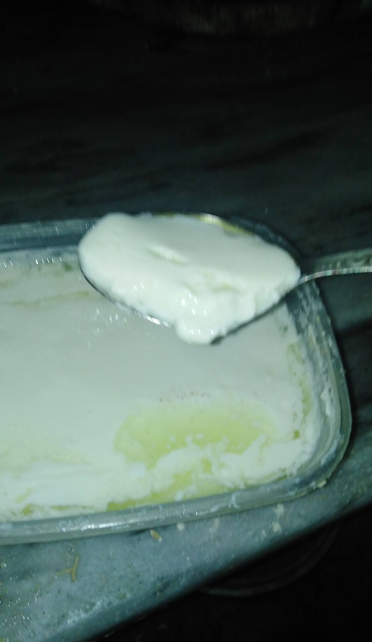 Yogurt made in microwave in winter homemadefusionstories fusionstories
