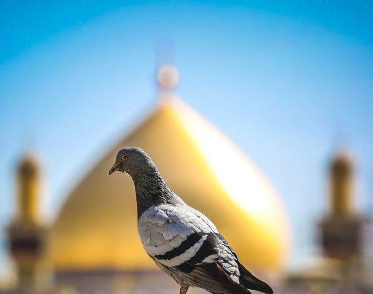 പോരാട്ടം