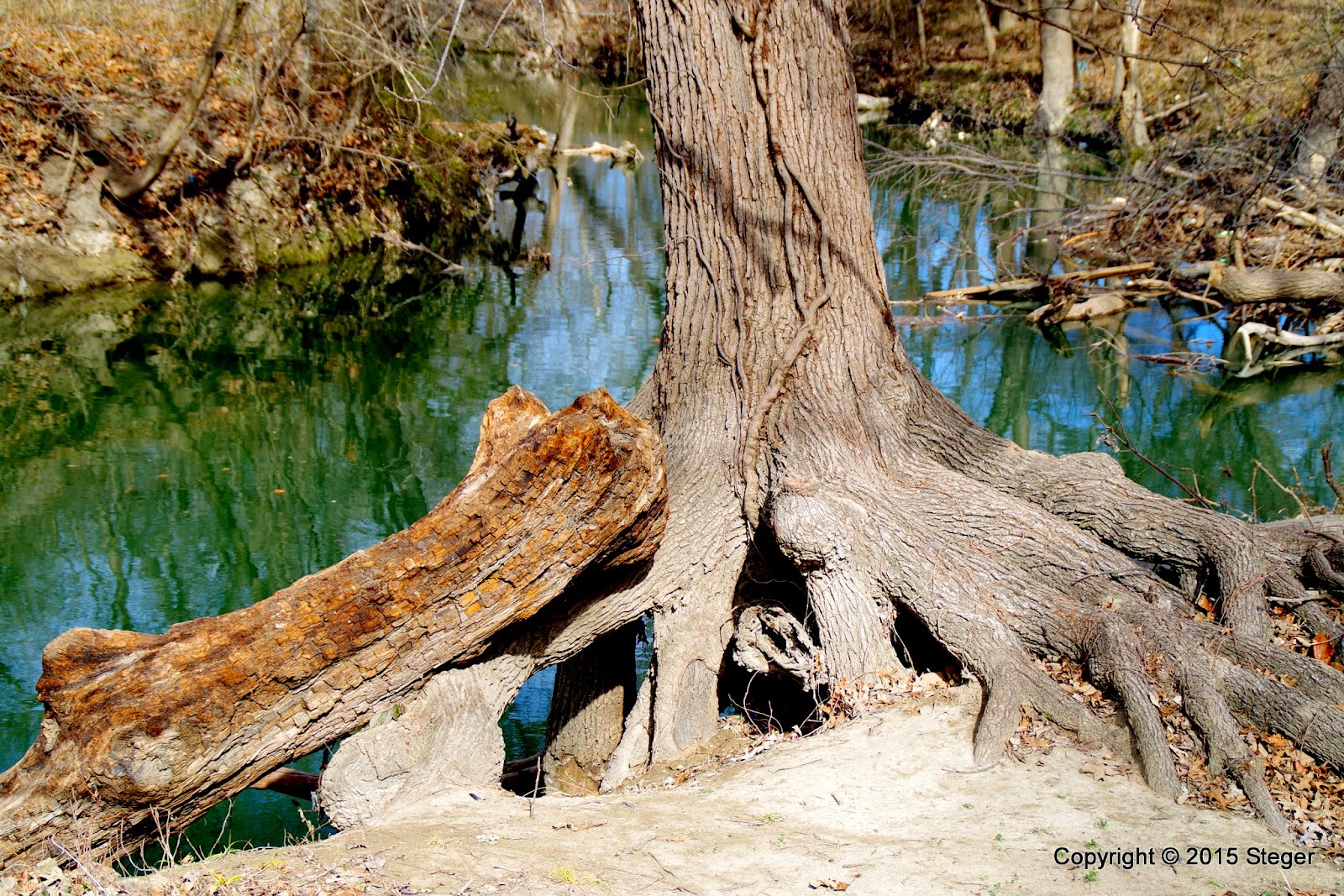 The Wheel Winter in Breckinridge Park (2015)