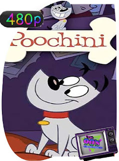 Poochini [2000] Temporada 1-2 [480p] Latino [GoogleDrive] SXGO