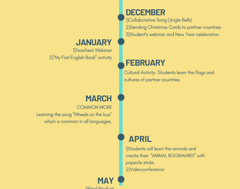 PROJECT TIMELINE