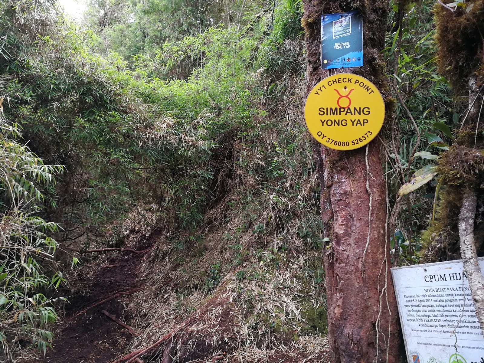 Hiking and Stuff: Gunung Yong Yap - Gunung Bubu - Gunung Tok Nenek ...