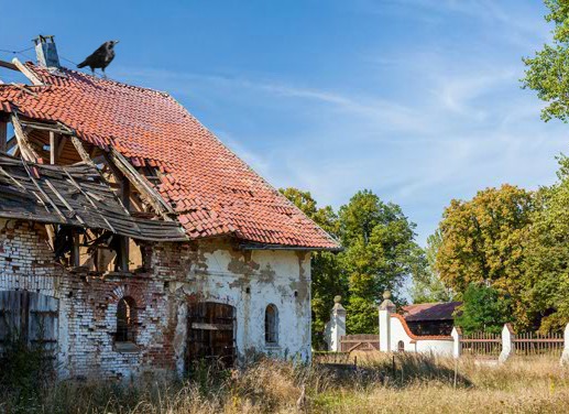 Abandoned Building Monkey…