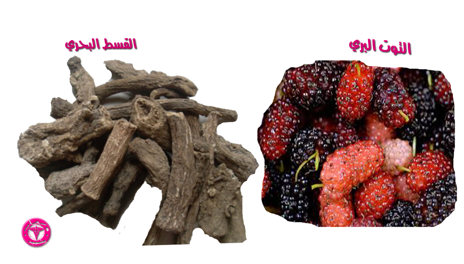 SNES مرآة سيليكون علاج الخراجات Indian Premium Commertensat Com