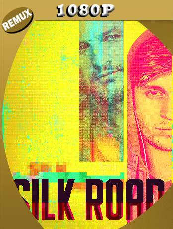 Silk Road (2021) Remux 1080p Latino [GoogleDrive] Ivan092