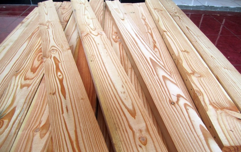 Supplier Jual Kayu Jati Belanda Palangkaraya, Kalimantan Tengah Harga