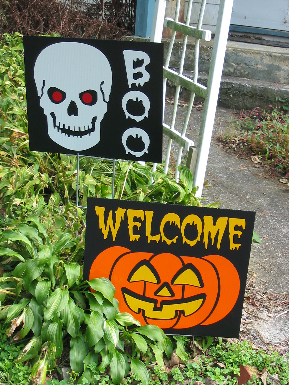 The Halloween Queen Reflective Light Up Halloween Signs