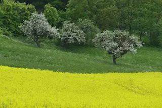 C'est quoi l'agriculture ? 🌅