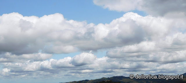 la luna, quando fare marmellate, potare, lavorare nell'orto, raccogliere erbe nell'appennino Bolognese e Modenese