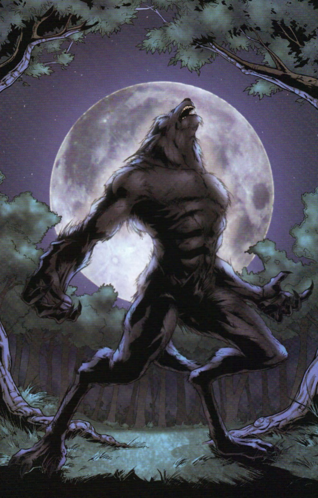 download tales of werewolves for free download tales of werewolves for free