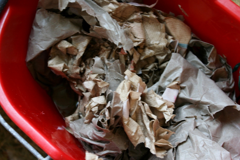 The Altons our life in the Sussex countryside Toxic wrapping paper