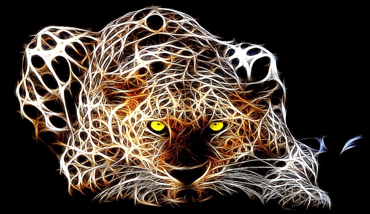 Abstract Animals Wallpapers Hd | Background Wallpaper Gallery
