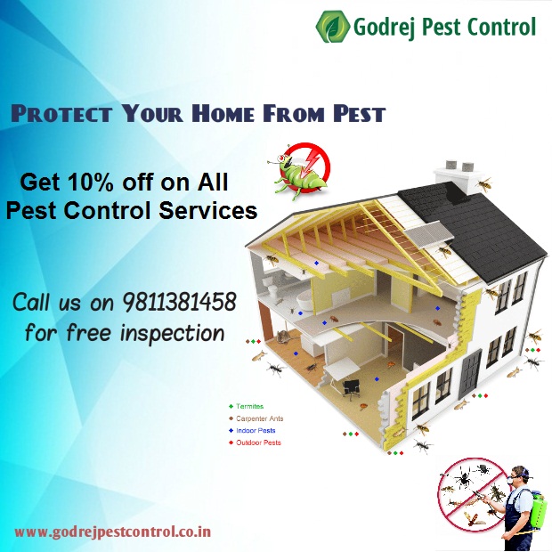 Godrej Pest Control Delhi Noida This Festive Season Make Your Premises