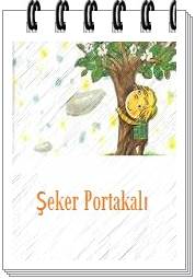 Seker Portakali Ozeti Eodev Com