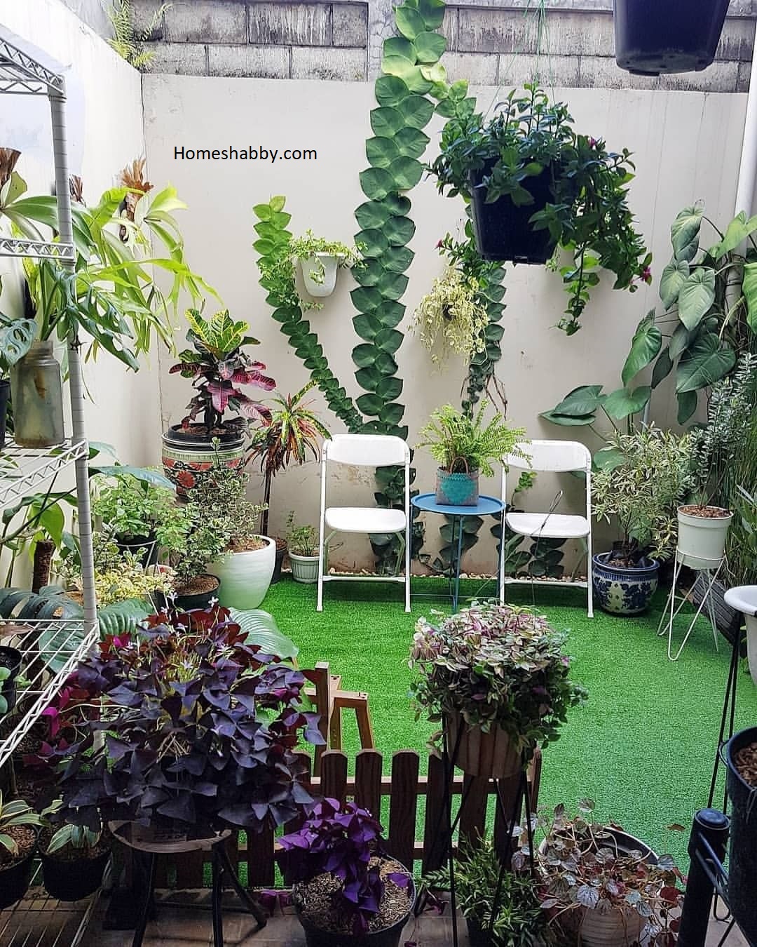 6 Inspirasi Desain Taman Belakang Rumah, Minimalis yang Asri dan Nyaman