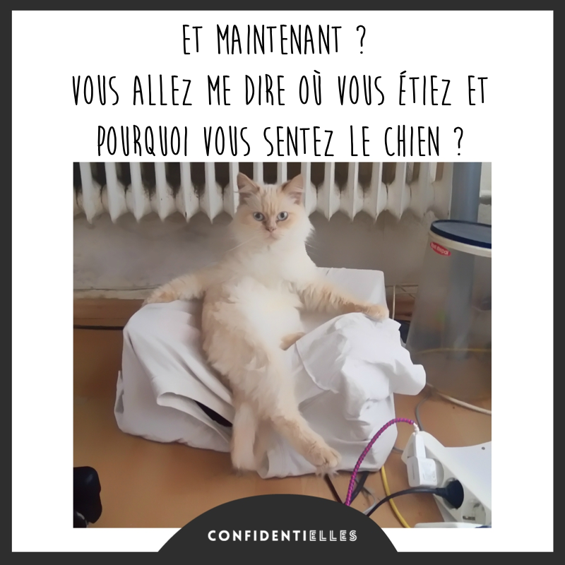 Mon chat urine hors de sa litière