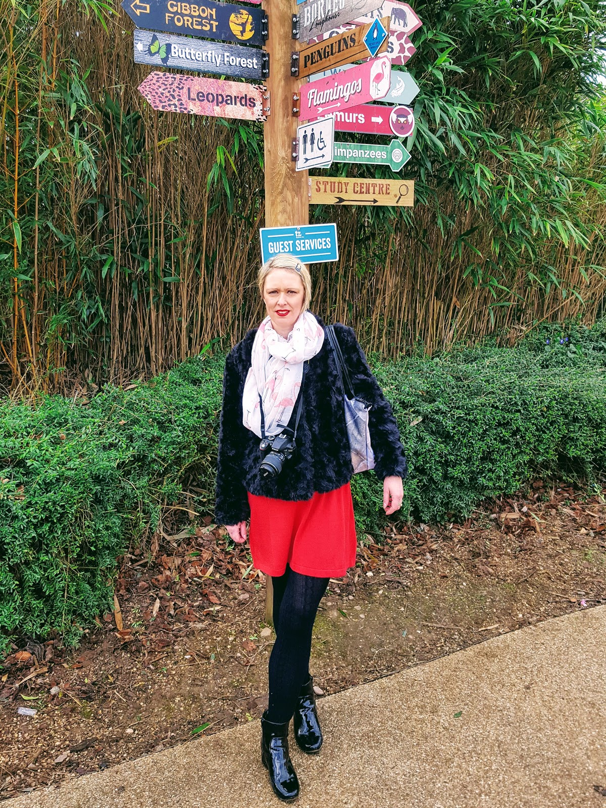 Day At The Zoo: The Wordless or not so Wordless Wednesday Link Up