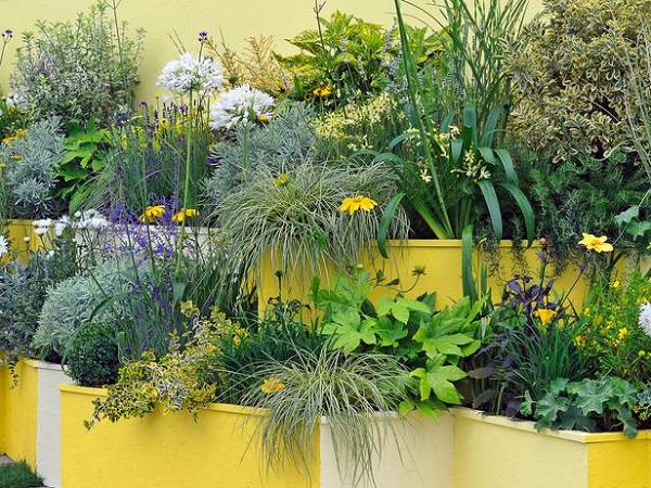 Plantar en contenedores con mucho estilo - Guia de jardin